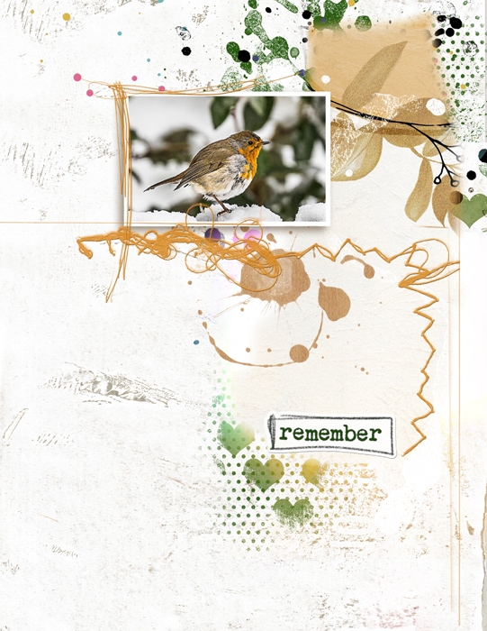 Bird