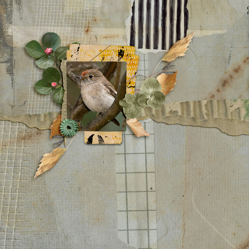 Bird