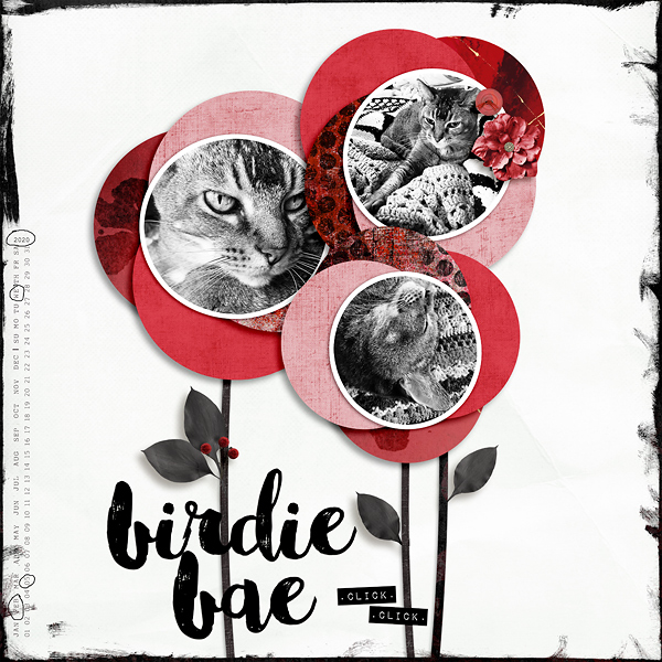 Birdie Bae