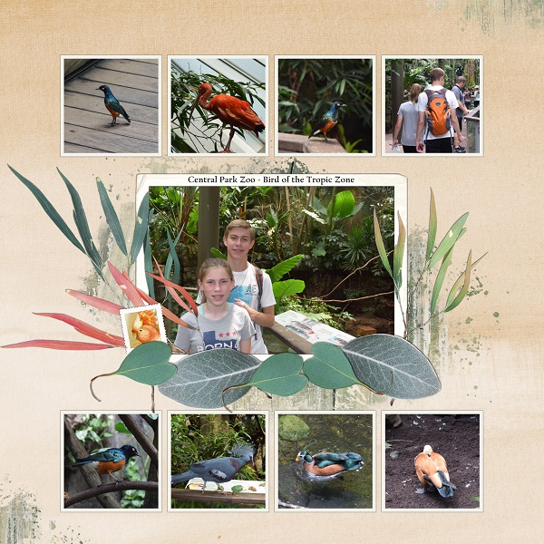 Birds at Central Park Zoo (MOC8 - Day 21)