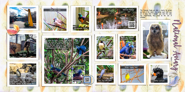 Birds at the National Aviary
