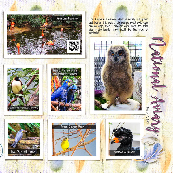 Birds at the National Aviary_right