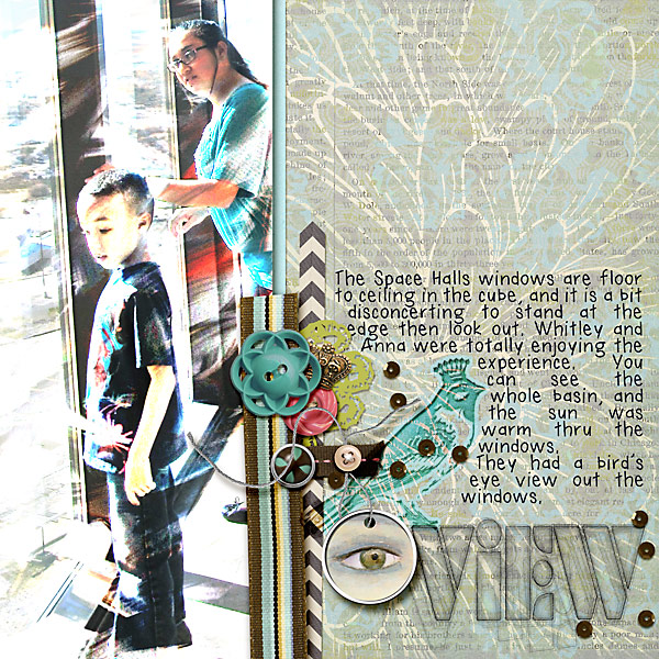 bird's eye view #6 MOC