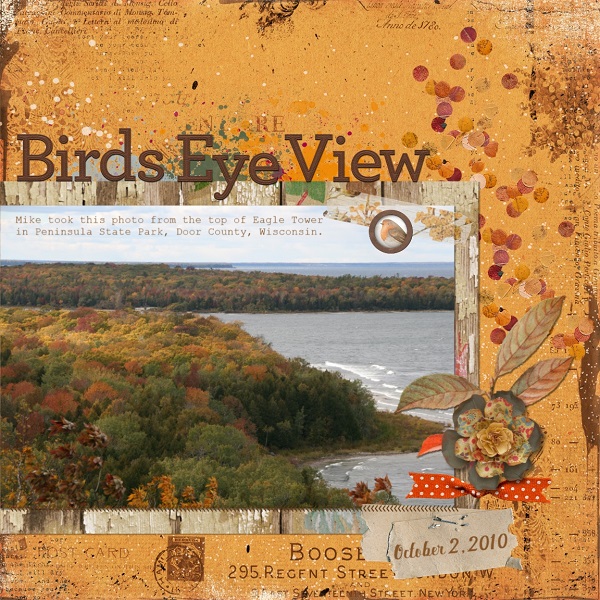 Birds Eye View