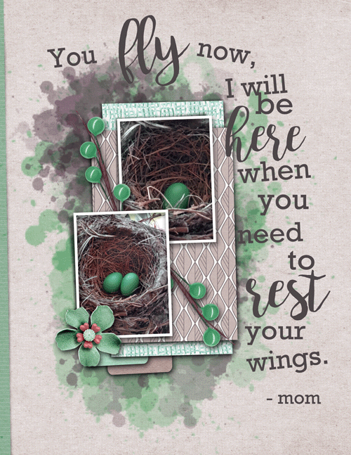 Birds-nest-8-web