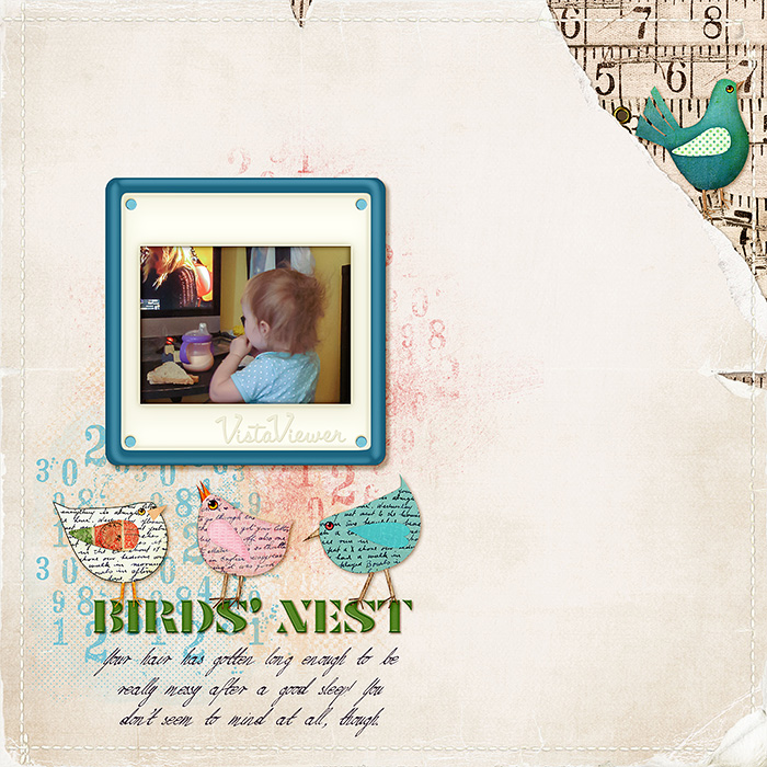 Birds' Nest