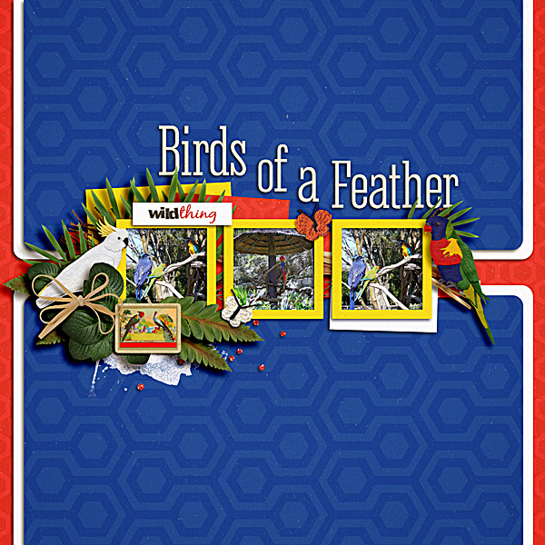Birds of a Feather