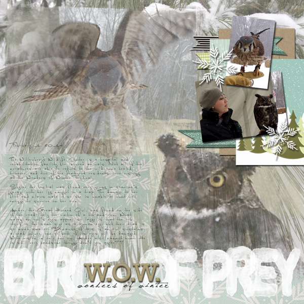 Birds of Prey