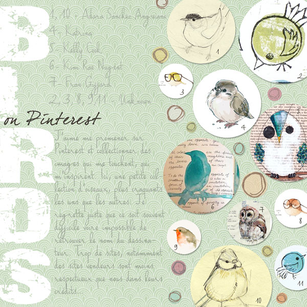 Birds On Pinterest