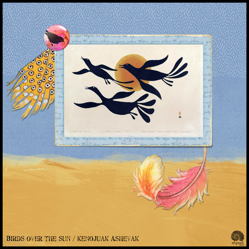 BIRDS OVER THE SUN