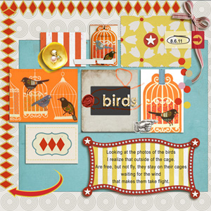 Birds