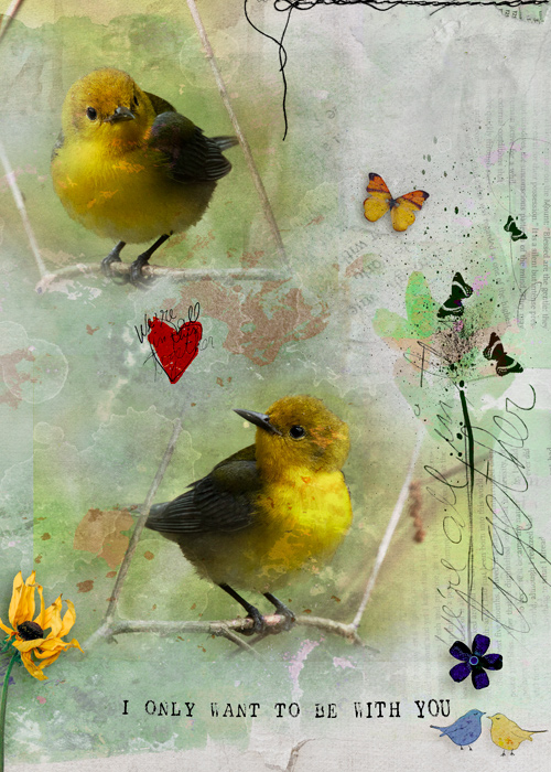 Birds
