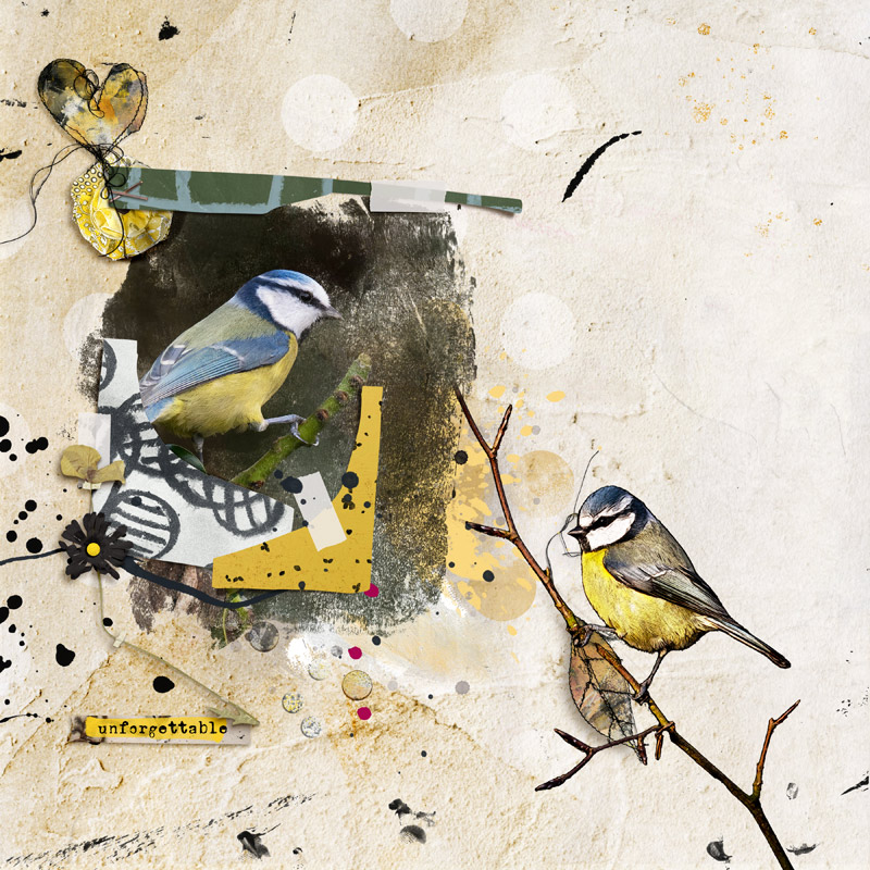 Birds