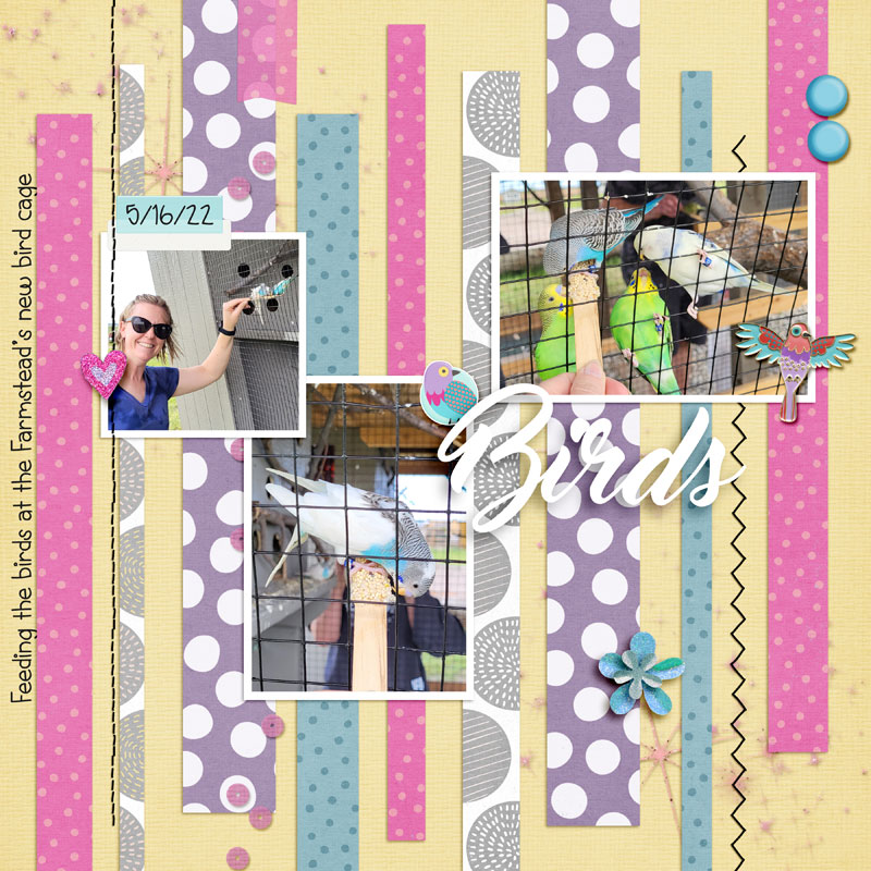 Birds