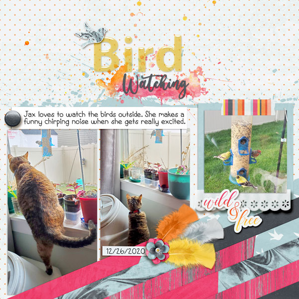 BirdWatching