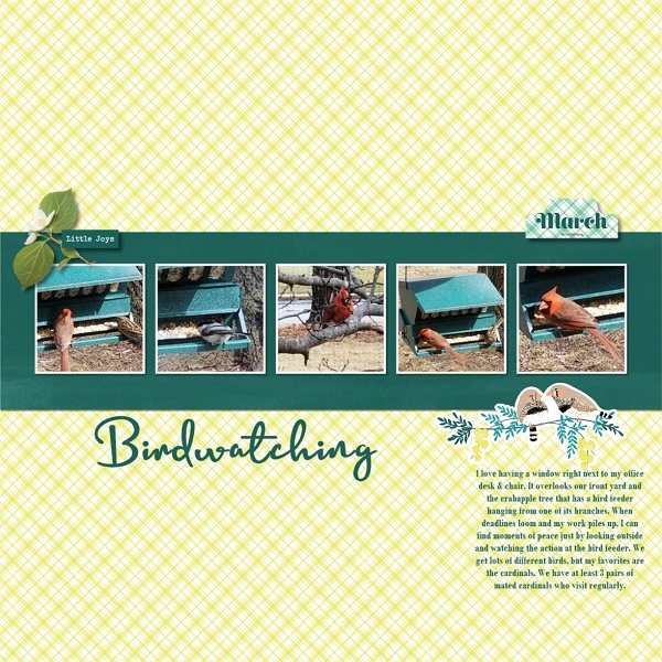 Birdwatching