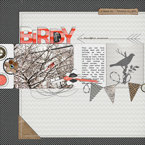 Birdy