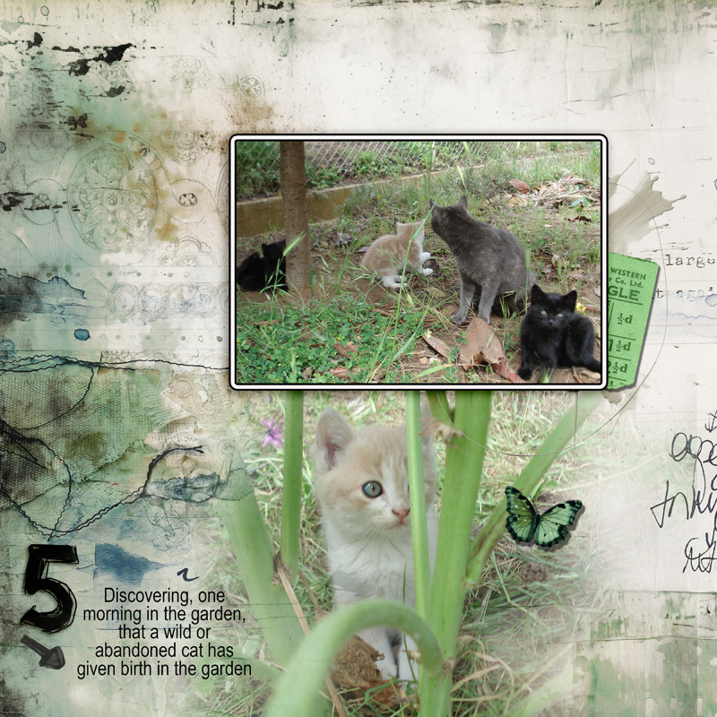 Birth in the garden