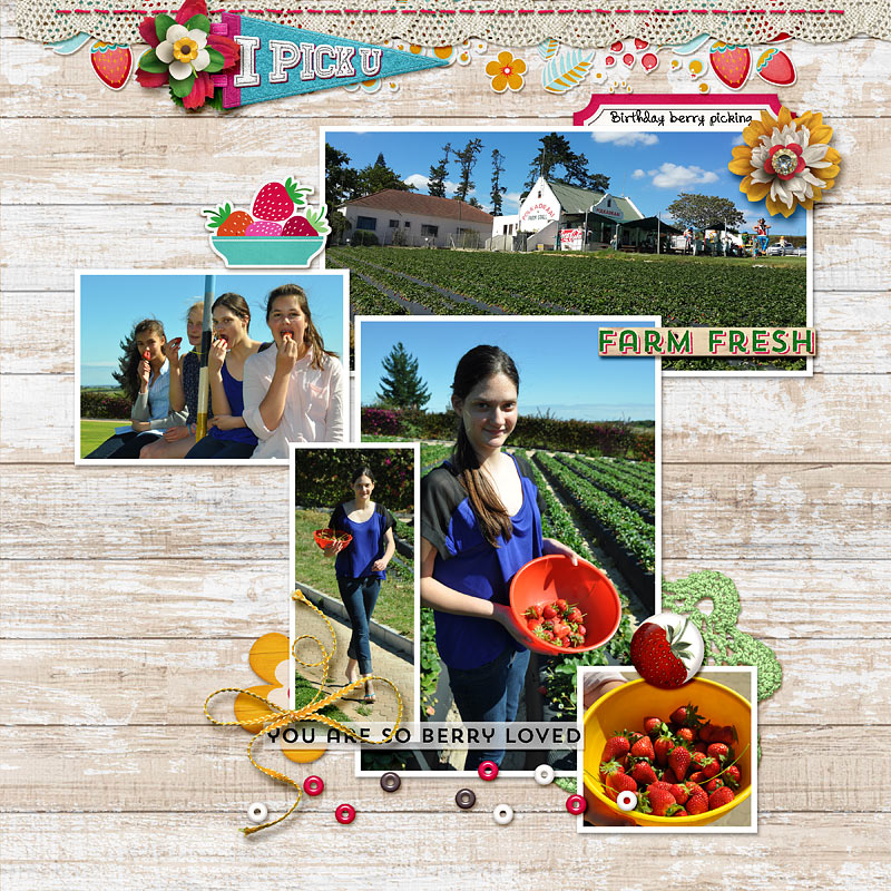 Birthday berry picking
