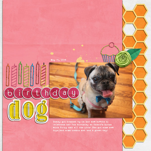 Birthday Dog