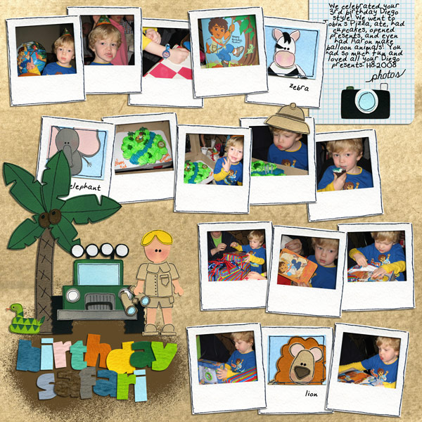 Birthday Safari