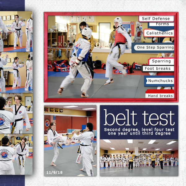 Black Belt Level 4 Test