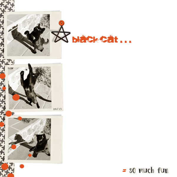 Black cat
