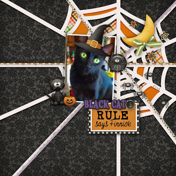 Black Cats Rule