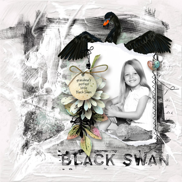 Black-Swan_DesignerTempChal_TLP_WEB