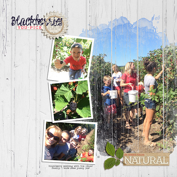 Blackberry picking