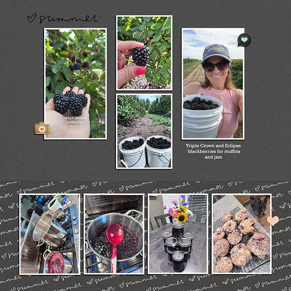 Blackberry Picking
