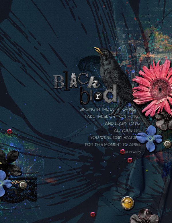 Blackbird