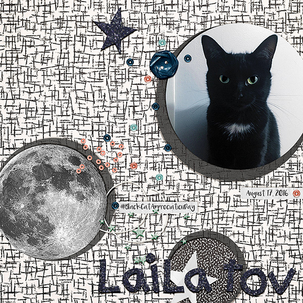 #BlackCatAppreciationDay