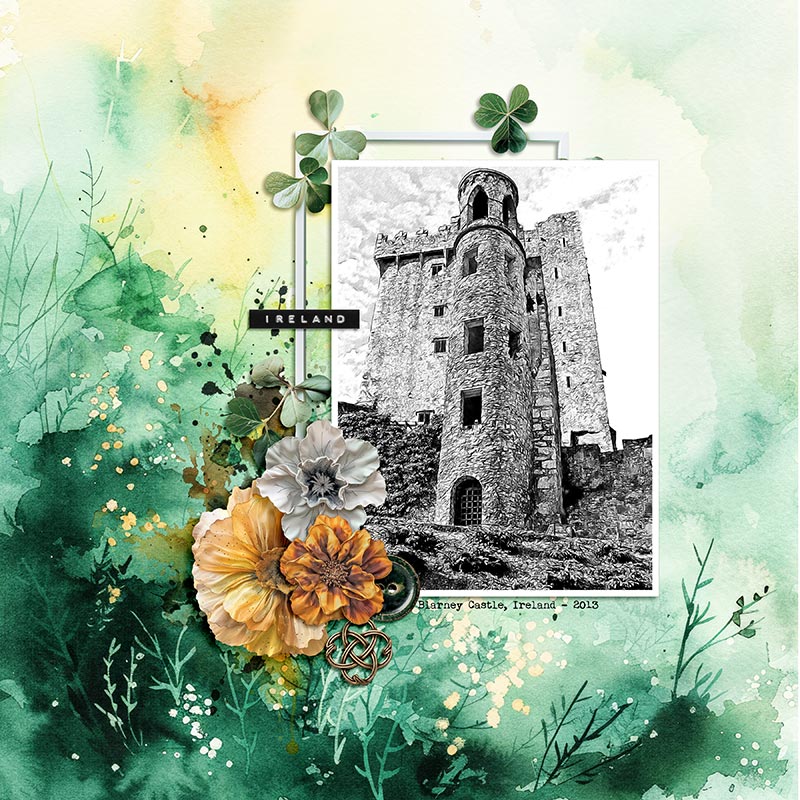 BLARNEY CASTLE - IRELAND