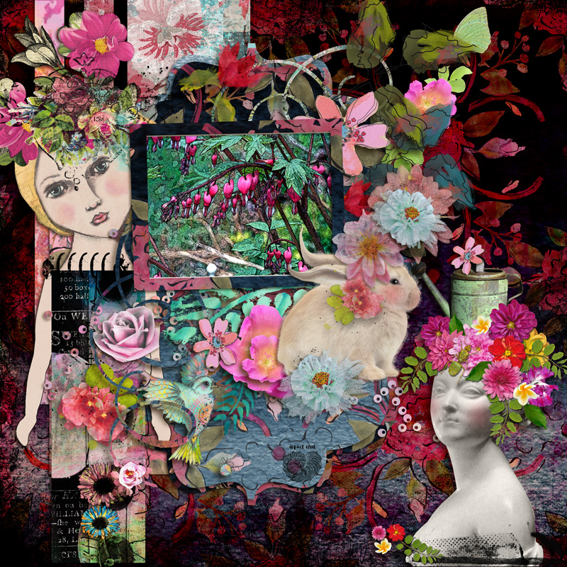 BLEEDING HEARTS