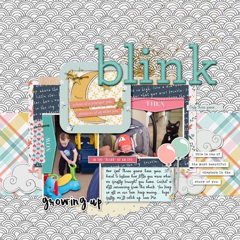Blink102018SwLBTC