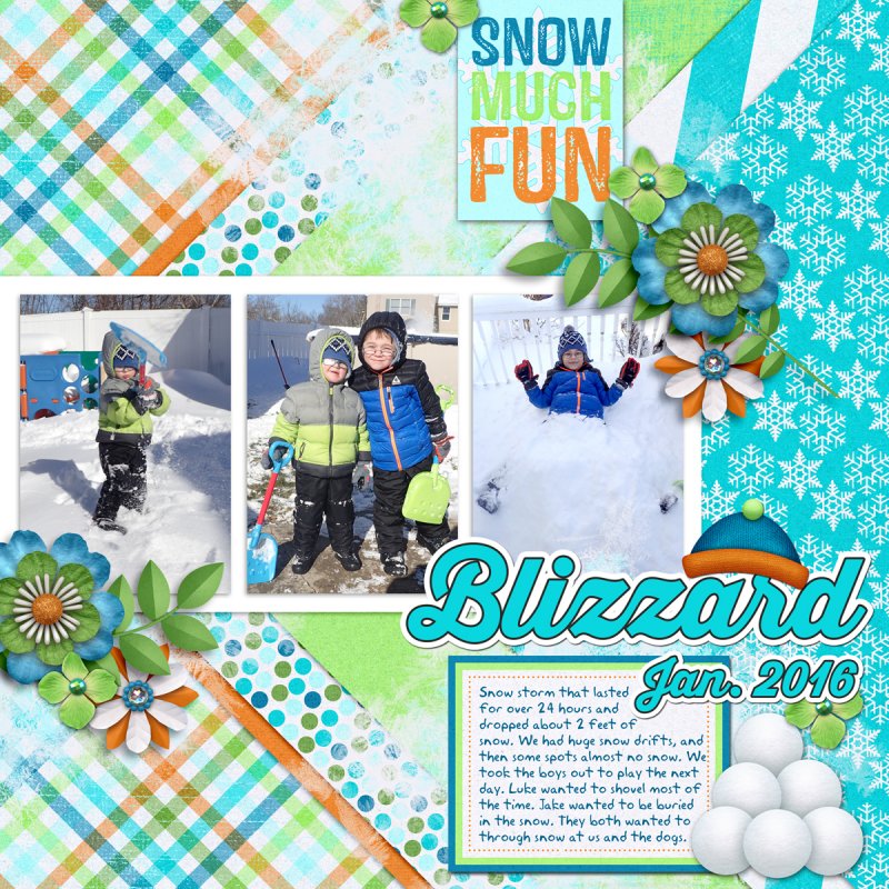 Blizzard-2016