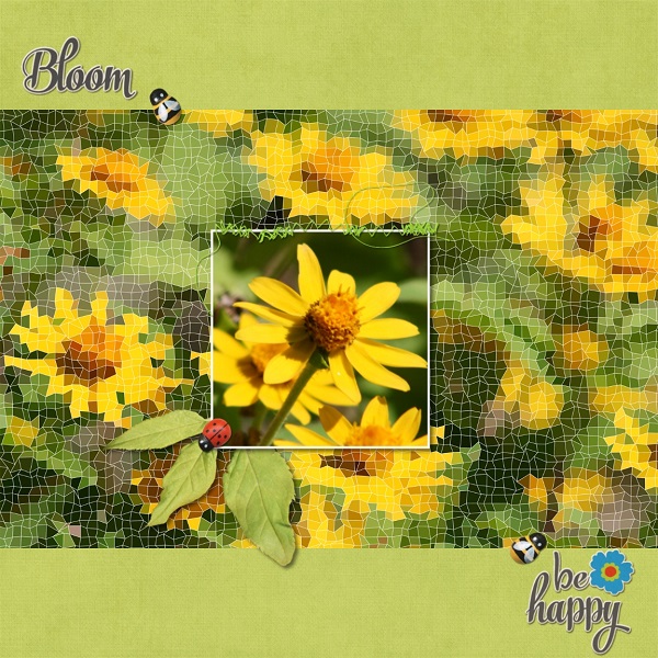 Bloom And Be Happy