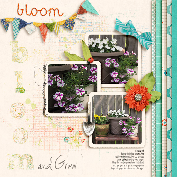 Bloom and Grow