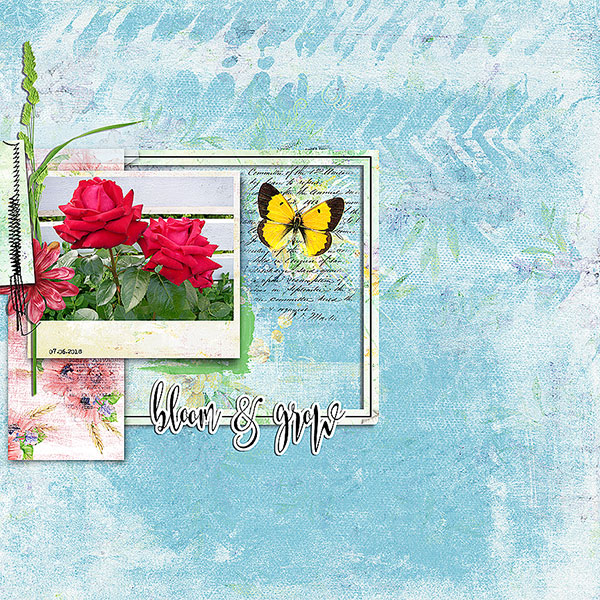 bloom and grow