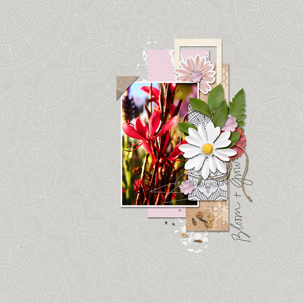 BLOOM AND GROW