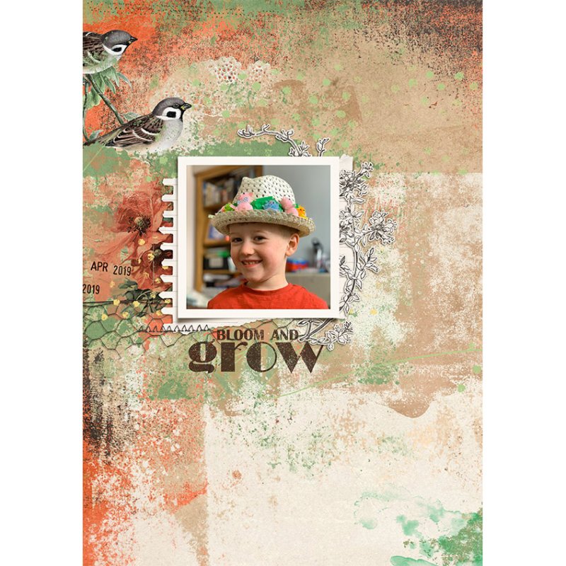 Bloom and Grow