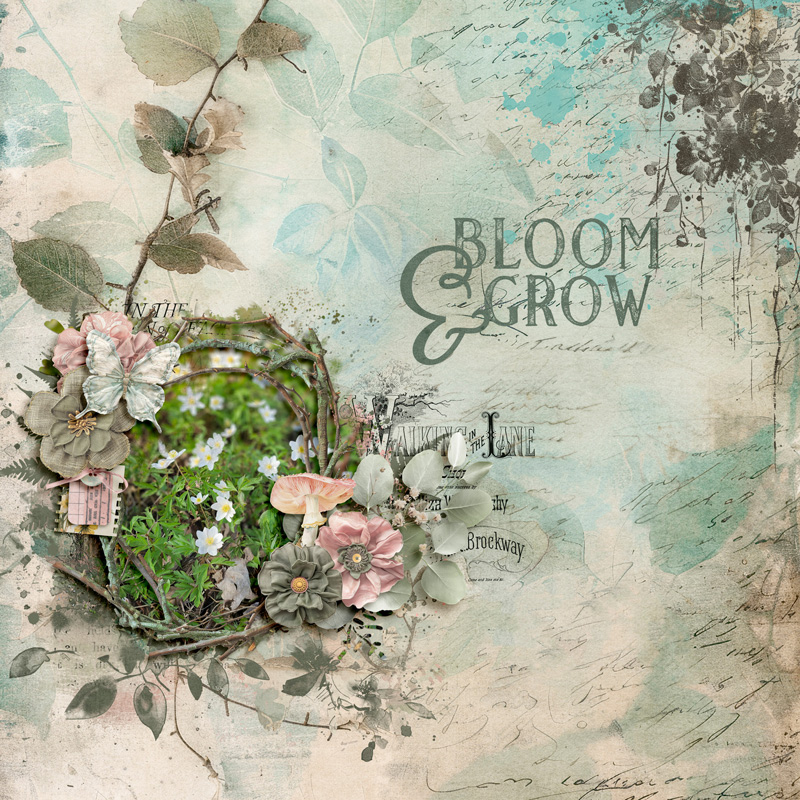 Bloom and Grow
