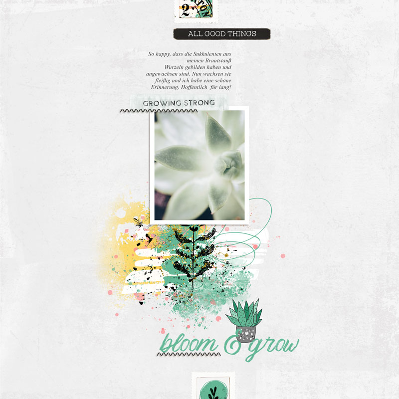 Bloom & Grow - May Photography Challenge