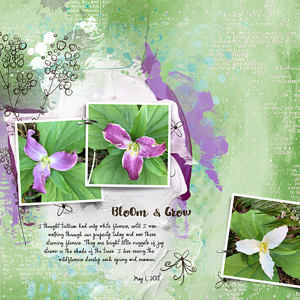 Bloom & Grow