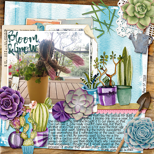 Bloom & Grow