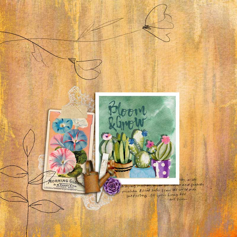 bloom&grow