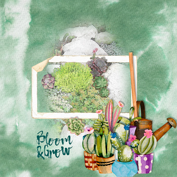 bloom & grow