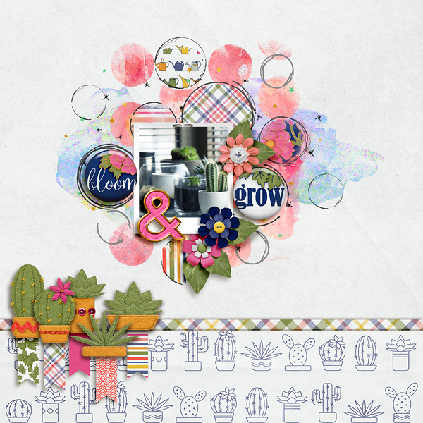 Bloom & Grow