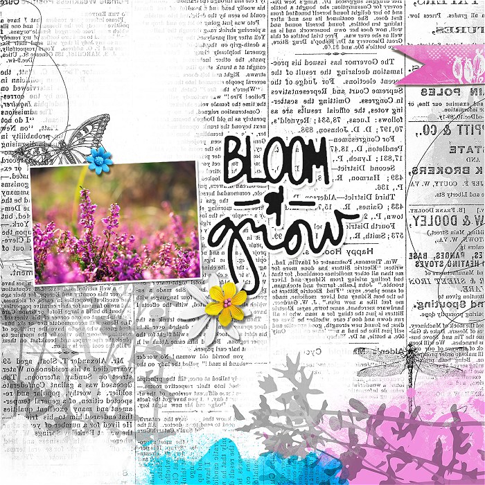 Bloom&grow
